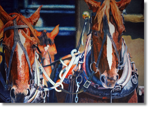 Knotts Berry Farm Stagecoach Horses 2
oil on canvas
105 x 74 cm